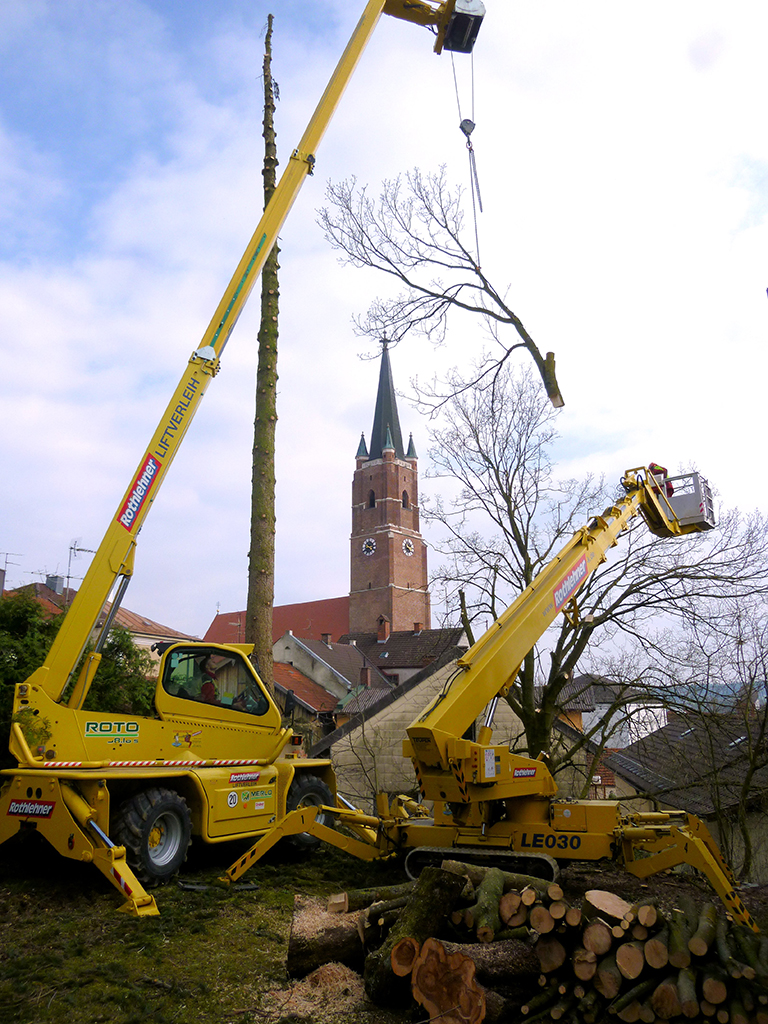 Baumfällung2